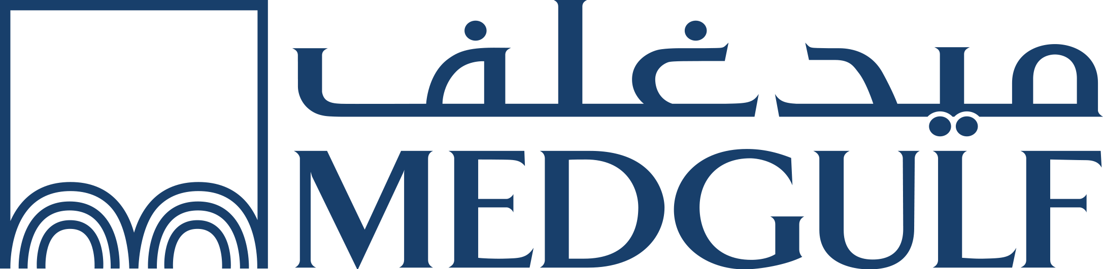 ميدغلف